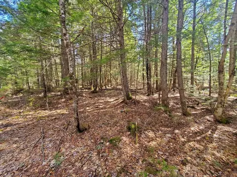 0 Howland Rd, Lagrange, ME 04453 photo 5