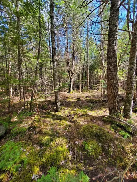 0 Howland Rd, Lagrange, ME 04453 photo 12