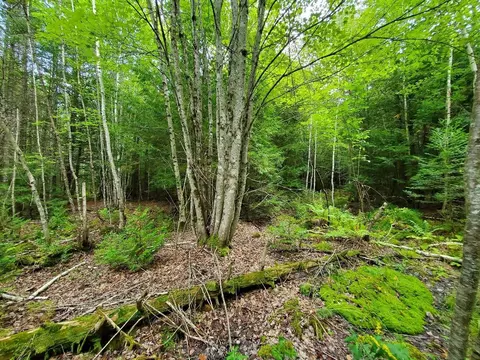 0 Howland Rd, Lagrange, ME 04453 photo 40