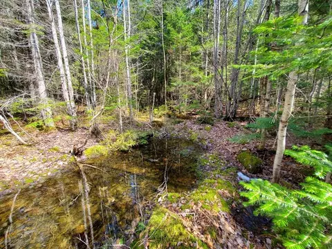 0 Howland Rd, Lagrange, ME 04453 photo 11
