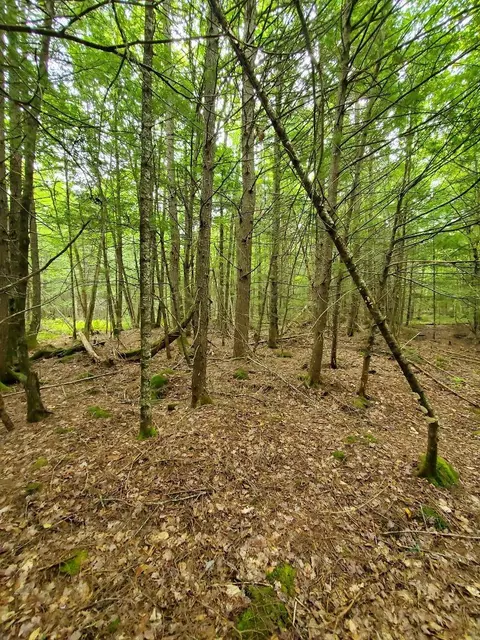 0 Howland Rd, Lagrange, ME 04453 photo 27