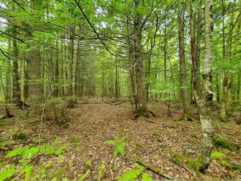 0 Howland Rd, Lagrange, ME 04453 photo 25