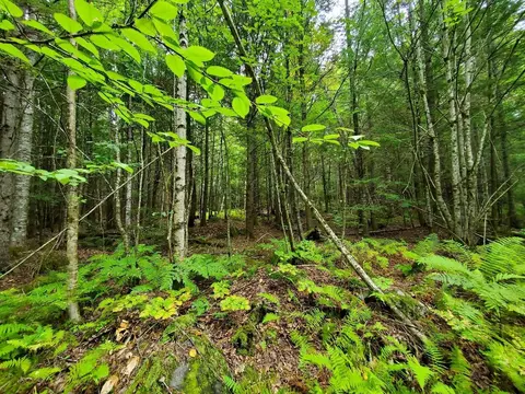 0 Howland Rd, Lagrange, ME 04453 photo 35