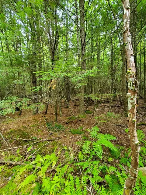 0 Howland Rd, Lagrange, ME 04453 photo 36