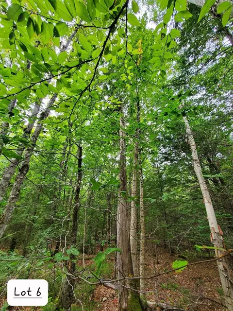 0 Howland Rd, Lagrange, ME 04453 photo 43