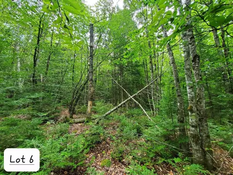 0 Howland Rd, Lagrange, ME 04453 photo 44