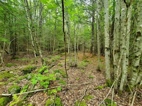 0 Howland Rd, Lagrange, ME 04453 photo 38