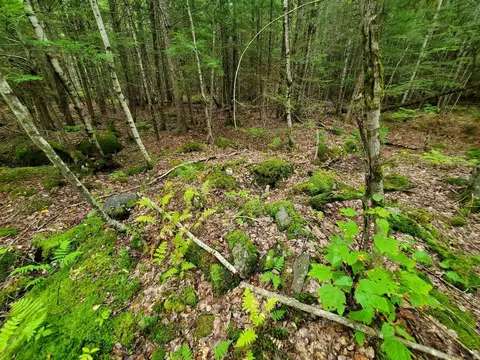 0 Howland Rd, Lagrange, ME 04453 photo 39