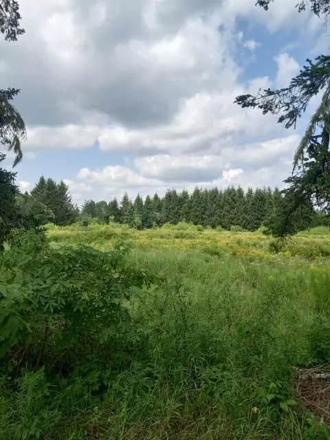 Other - 855 County Rd, Lubec, ME 04652 photo 2 of 10