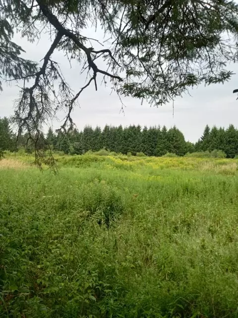 Other - 855 County Rd, Lubec, ME 04652 photo 8 of 10