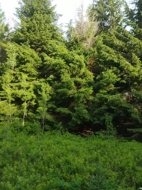 Other - 855 County Rd, Lubec, ME 04652 photo 7 of 10