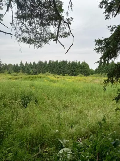 Other - 855 County Rd, Lubec, ME 04652 photo 10 of 10