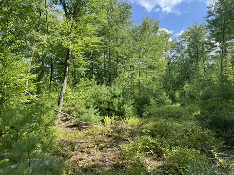 0 Old County Rd, Lyman, ME 04002 photo 3