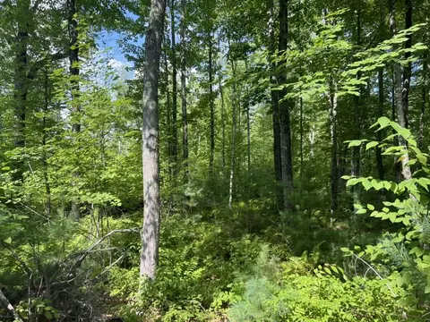 0 Old County Rd, Lyman, ME 04002 photo 2
