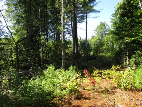 Exterior - 8 N Maxfield Road 0 # A, Maxfield, ME 04453 photo 2 of 6