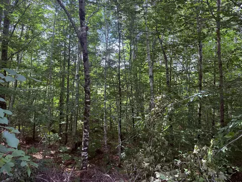 tbd Sawyer Mountain Rd, Limerick, ME 04048 photo 3