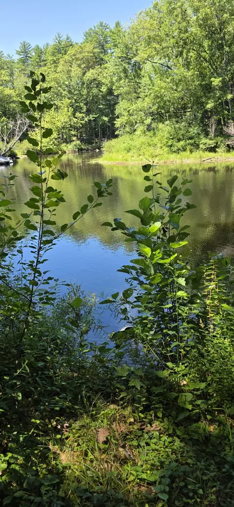 View/Area - 211 State Park Rd, Casco, ME 04015 photo 3 of 3