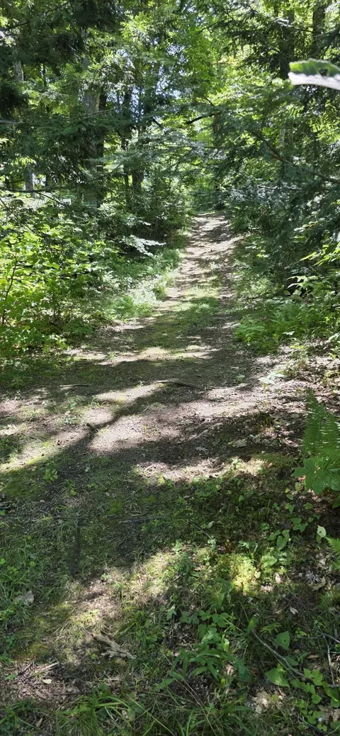 Other - 211 State Park Rd, Casco, ME 04015 photo 10 of 12