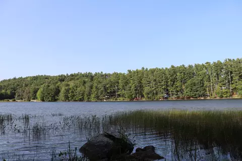 lot0 Sweet Fern Way, Orland, ME 04472