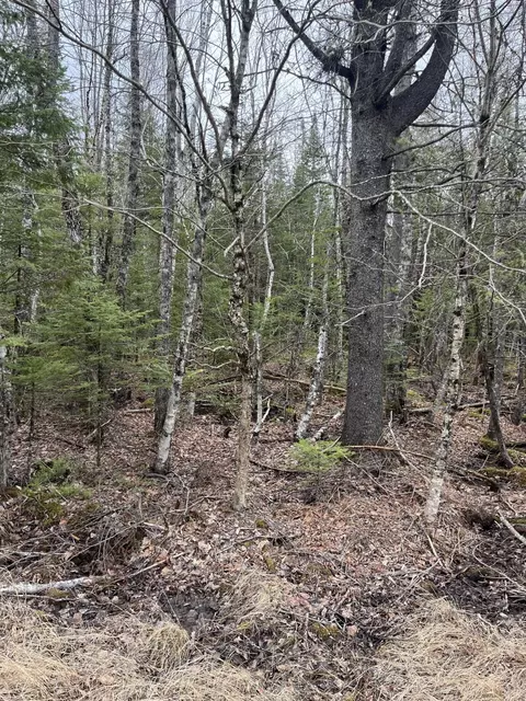 10 Boundary Road, Orient, ME 04471 photo 2
