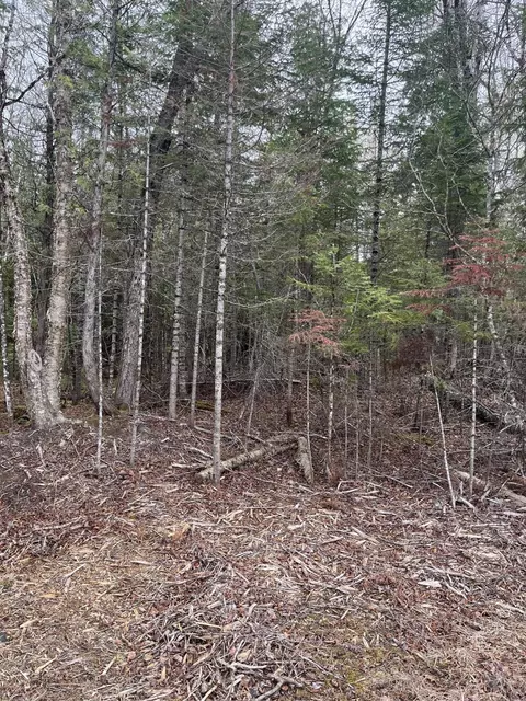 10 Boundary Road, Orient, ME 04471 photo 4
