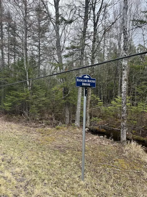 10 Boundary Road, Orient, ME 04471 photo 3