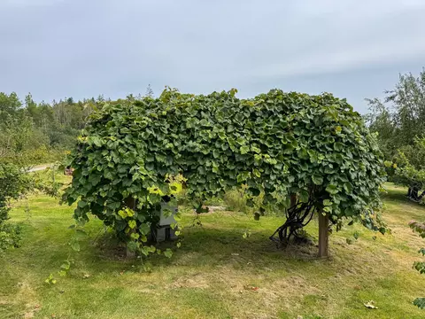 Other - 46 Lyons Rd, Lubec, ME 04652 photo 3 of 5