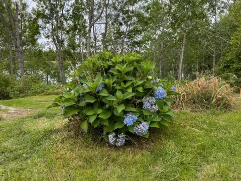 Exterior - 46 Lyons Rd, Lubec, ME 04652 photo 5 of 10