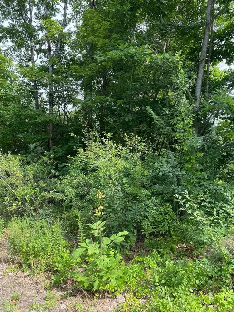 lot58 C Heather Ln, Falmouth, ME 04105