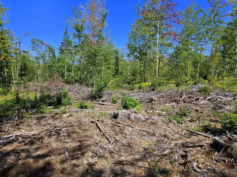 lot33 2 Cape Cod Hill Rd, New Sharon, ME 04955