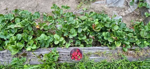 Other - 274 Windsor Rd, Chelsea, ME 04330 photo 9 of 11