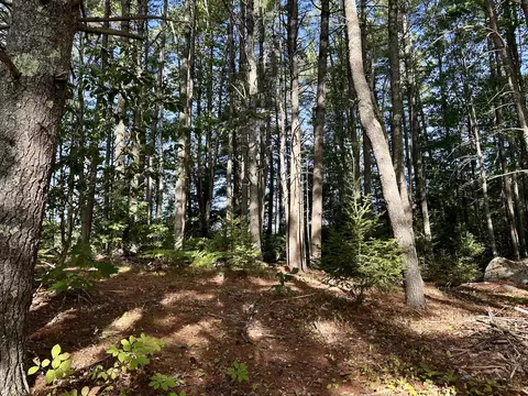 Exterior - 274 Windsor Rd, Chelsea, ME 04330 photo 8 of 11