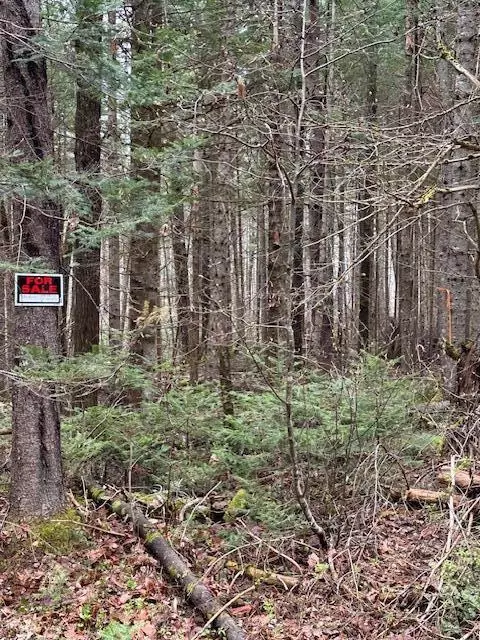 3 Brimstone Road Rd, Lagrange, ME 04453 photo 2