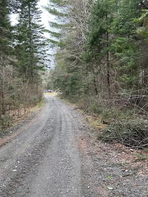 3 Brimstone Road Rd, Lagrange, ME 04453 photo 3