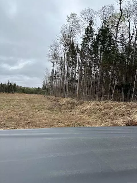 3 Brimstone Road Rd, Lagrange, ME 04453 photo 4