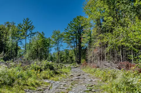 Exterior - 591 593 Park Sts, Milo, ME 04463 photo 11 of 11