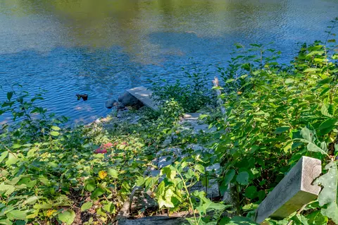 View/Area - 591 593 Park Sts, Milo, ME 04463 photo 5 of 11