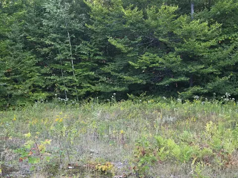 1155 Dickvale Rd, Peru, ME 04290 photo 5