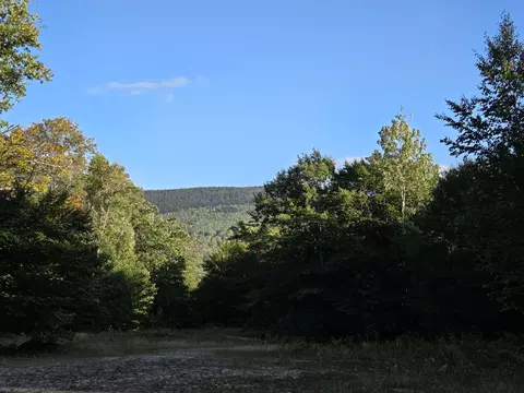 1155 Dickvale Rd, Peru, ME 04290 photo 7