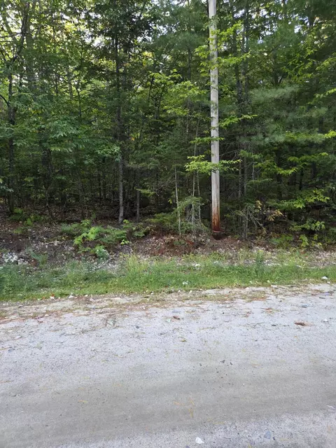 1155 Dickvale Rd, Peru, ME 04290 photo 13