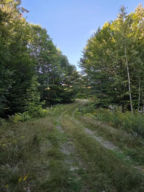 1155 Dickvale Rd, Peru, ME 04290 photo 8