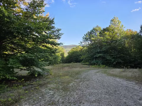 1155 Dickvale Rd, Peru, ME 04290 photo 2