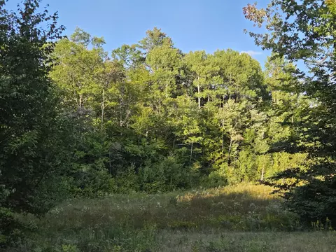 1155 Dickvale Rd, Peru, ME 04290 photo 6