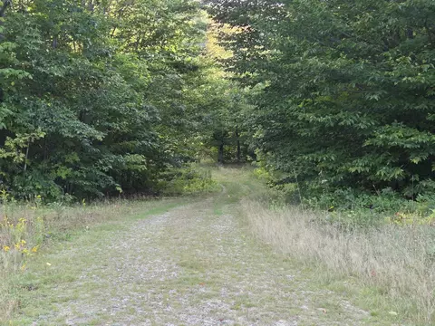 1155 Dickvale Rd, Peru, ME 04290 photo 3