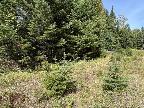 lot6 Johnson Ln, Rangeley, ME 04970 photo 12