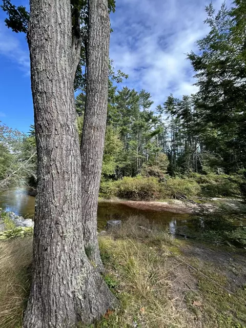 Other - 26 Dragon Back Rd, Naples, ME 04055 photo 3 of 3