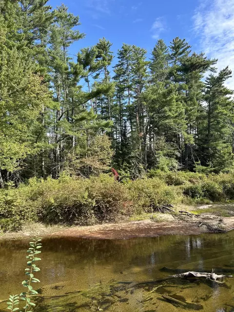 View/Area - 26 Dragon Back Rd, Naples, ME 04055 photo 3 of 5