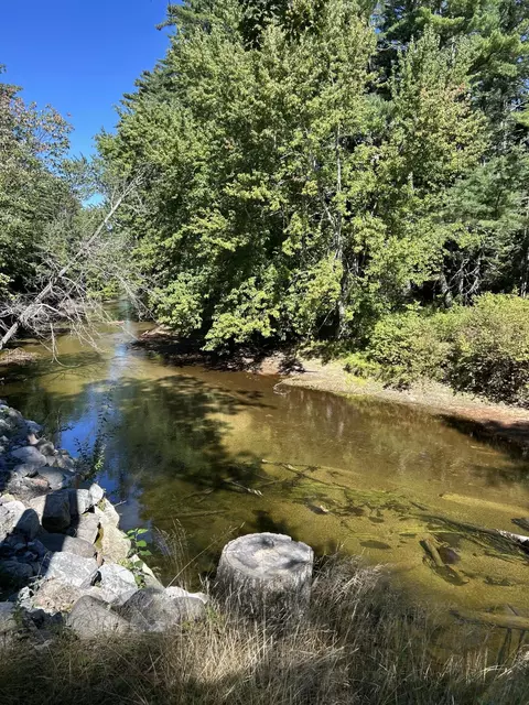View/Area - 26 Dragon Back Rd, Naples, ME 04055 photo 1 of 5