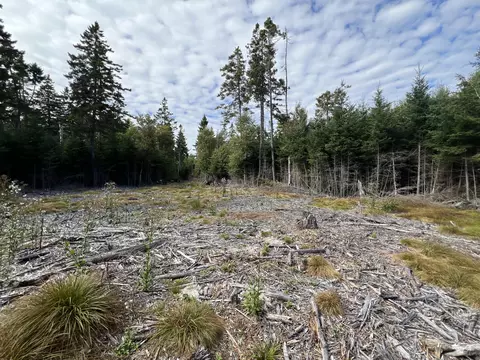lot Apt 3 Pyne Cove Rd, Steuben, ME 04680 photo 9