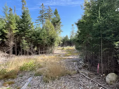 lot Apt 3 Pyne Cove Rd, Steuben, ME 04680 photo 7